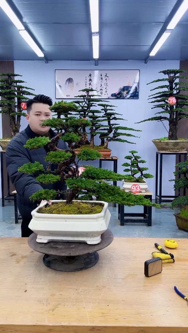 以实际为准慎*0000000000000000000000000