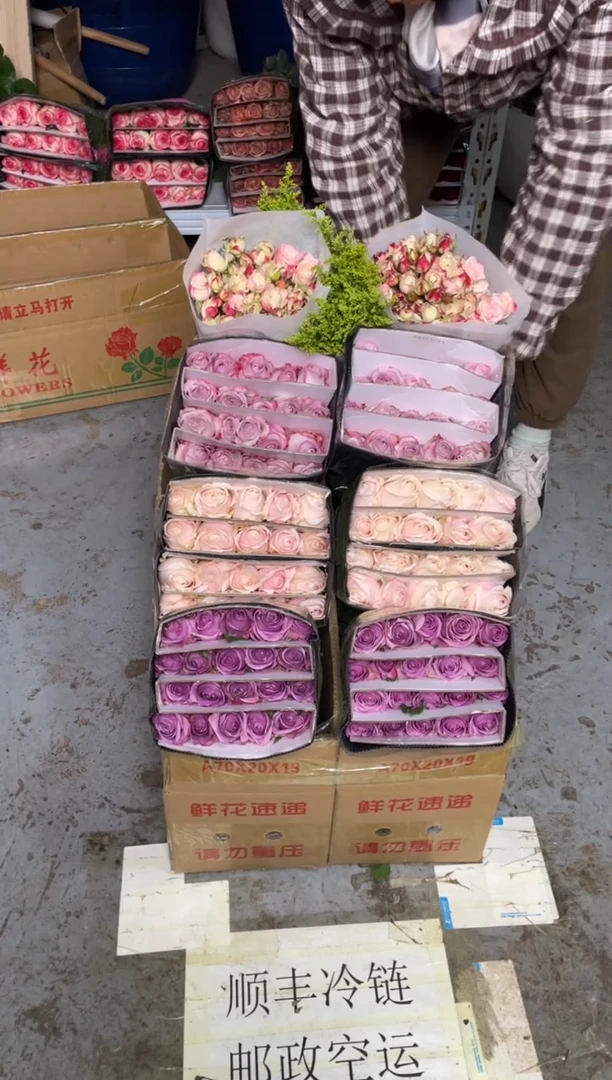 紫霞20枝+粉红20枝+气场20枝+折射10枝+黄莺