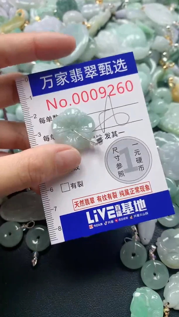 吊坠(不含链)未镶嵌翡翠9260