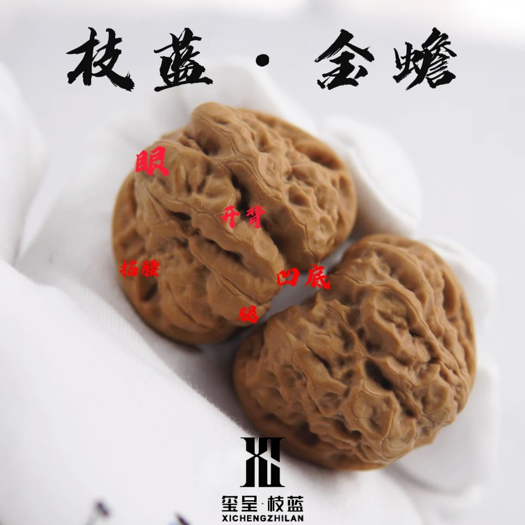 玺呈枝蓝 文玩核桃蛤蟆头