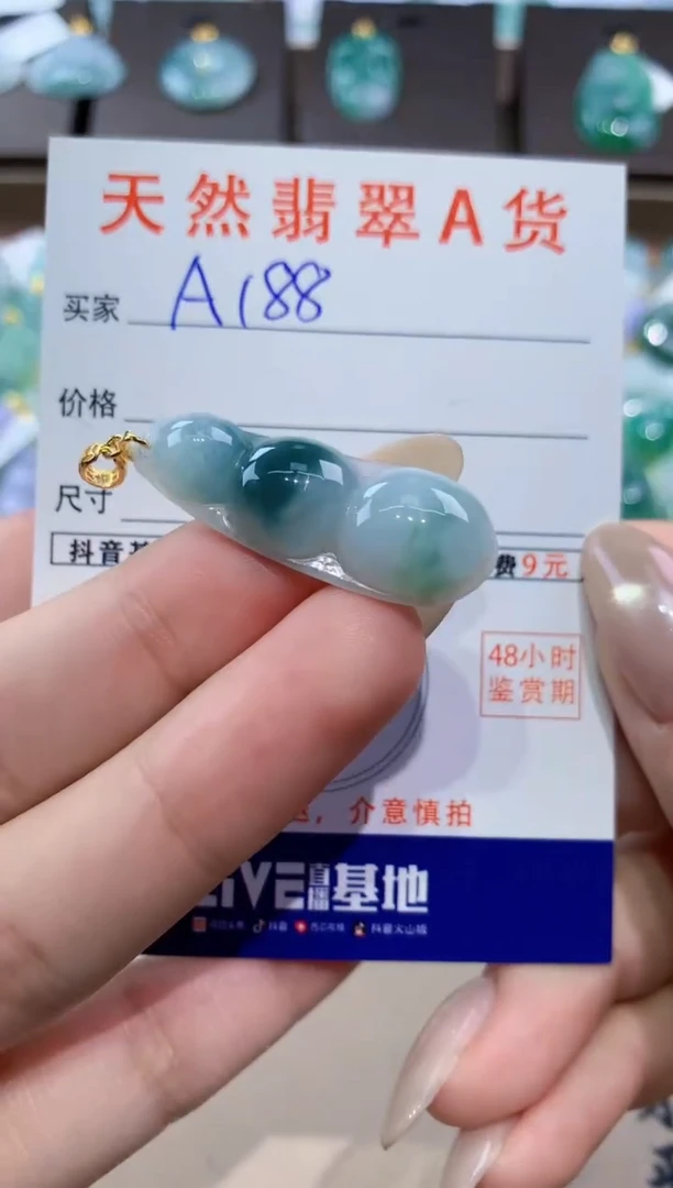 颈饰未镶嵌翡翠天然缅甸翡翠A货挂件