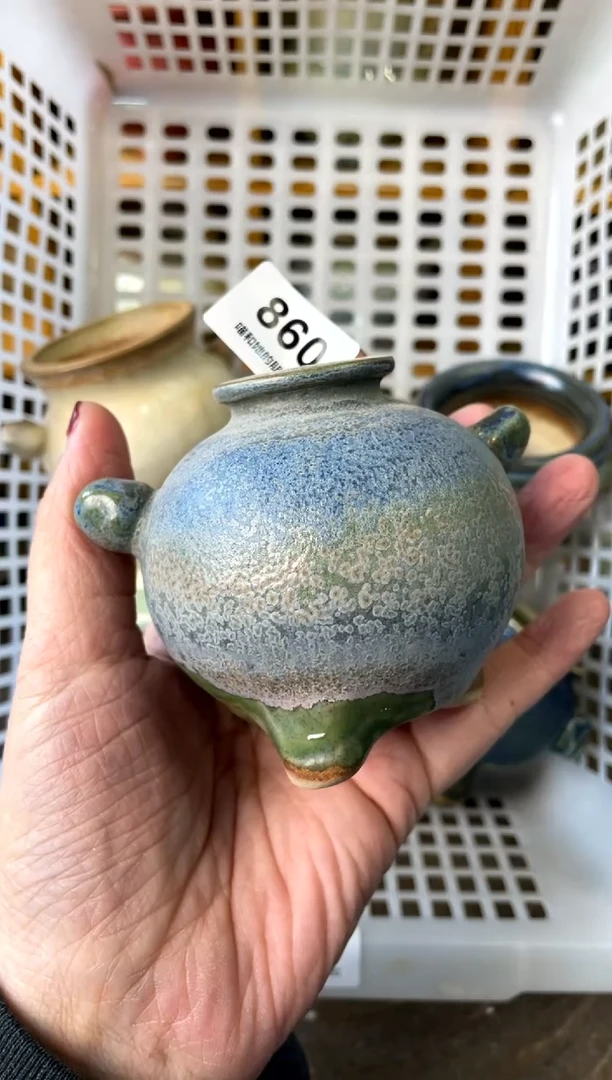 【闪购商品】陶微瑕860