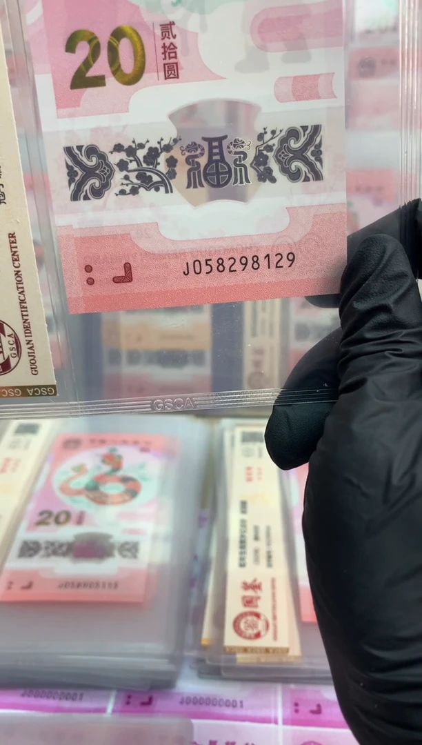 【闪购商品】塑料 蛇钞 真钞【单张】8129