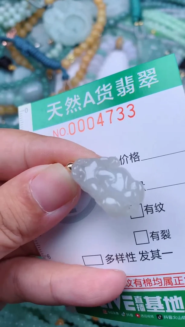 翡翠未镶嵌颈饰.0004733