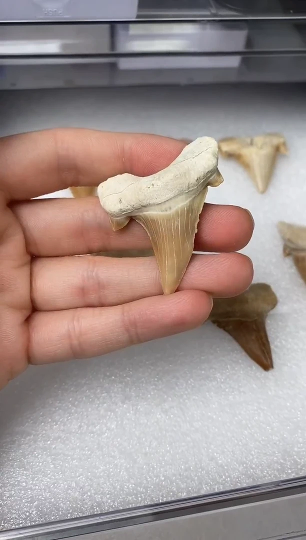 精美摆件创意礼物家居配饰新年礼物个人收藏