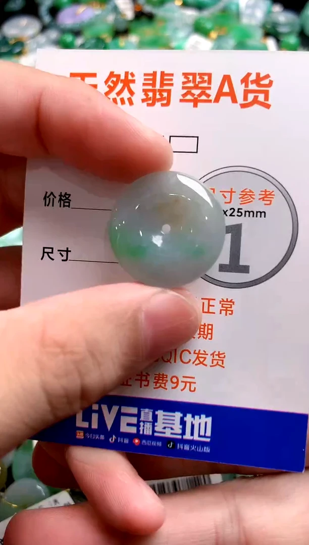 颈饰未镶嵌翡翠26100058