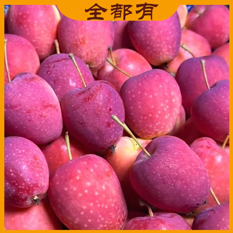 【龙哥专属】净重5斤！鸡心果！东北鸡心果！新鲜脆甜小苹果