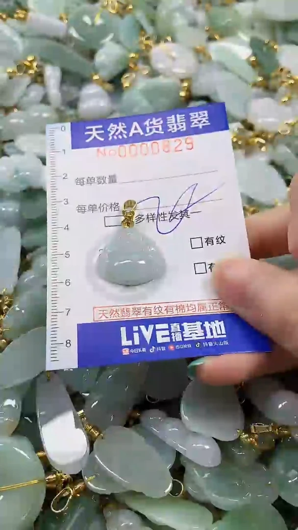 颈饰未镶嵌翡翠纯天然a货翡翠