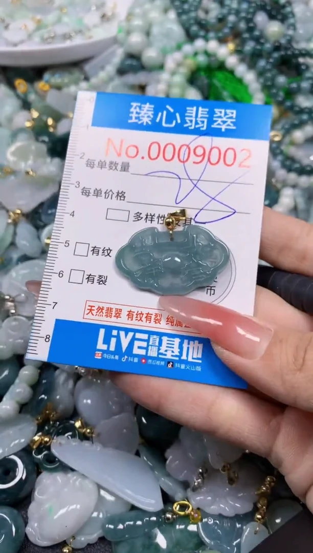 【闪购商品】翡翠颈饰未镶嵌含绳0009002