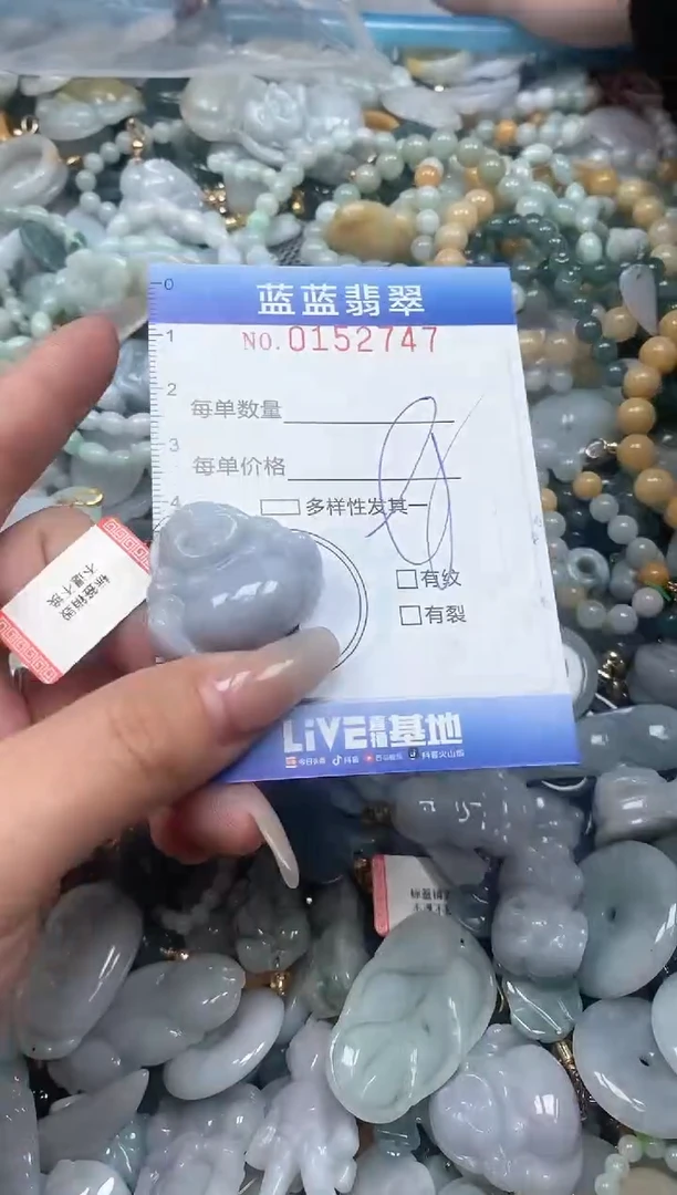 【闪购商品】翡翠颈饰未镶嵌闪购0152747