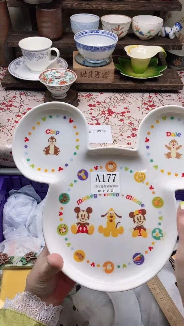 瓷片                A177