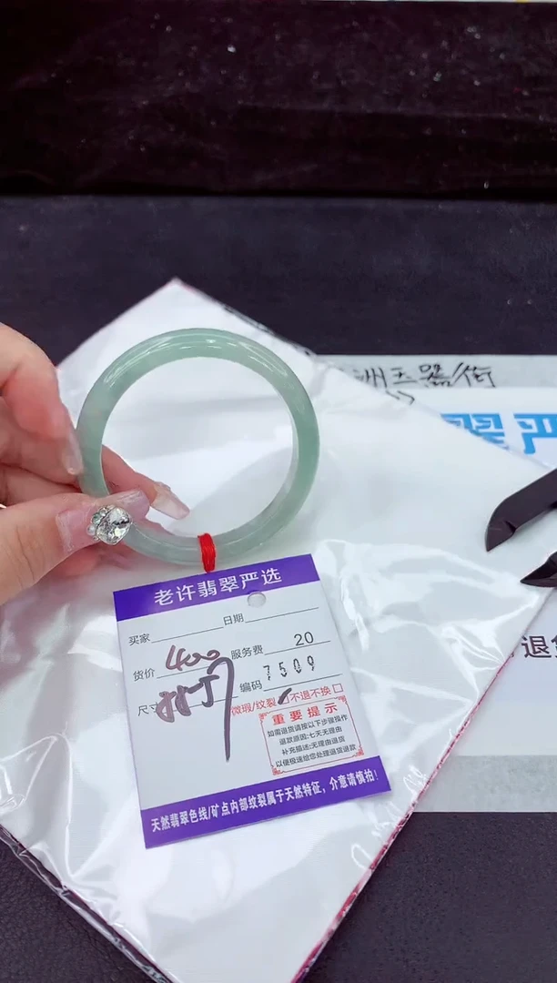 未镶嵌手镯翡翠1