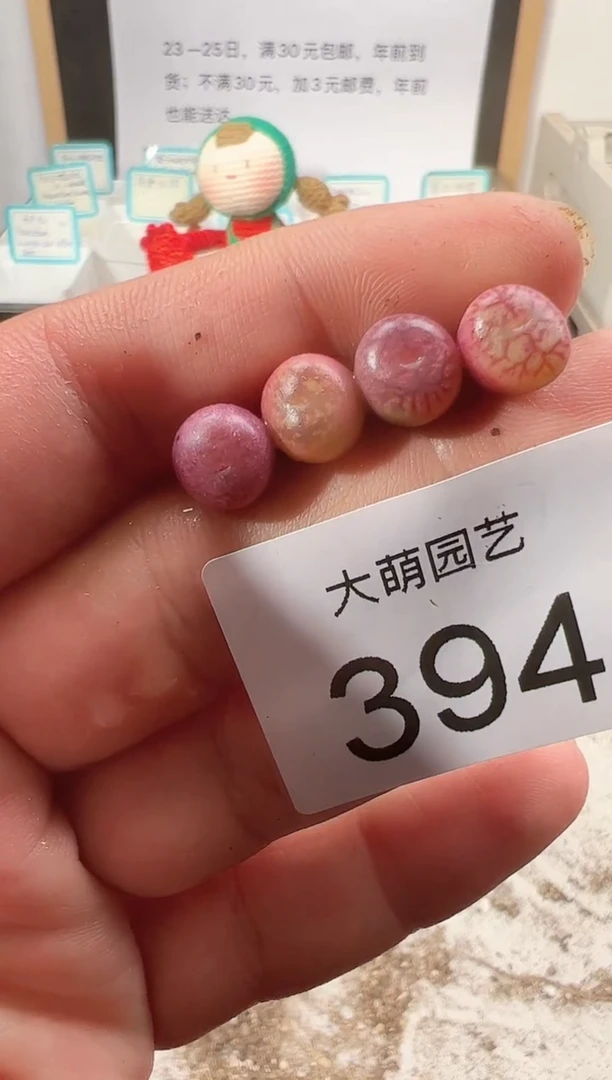 【闪购商品】++++394