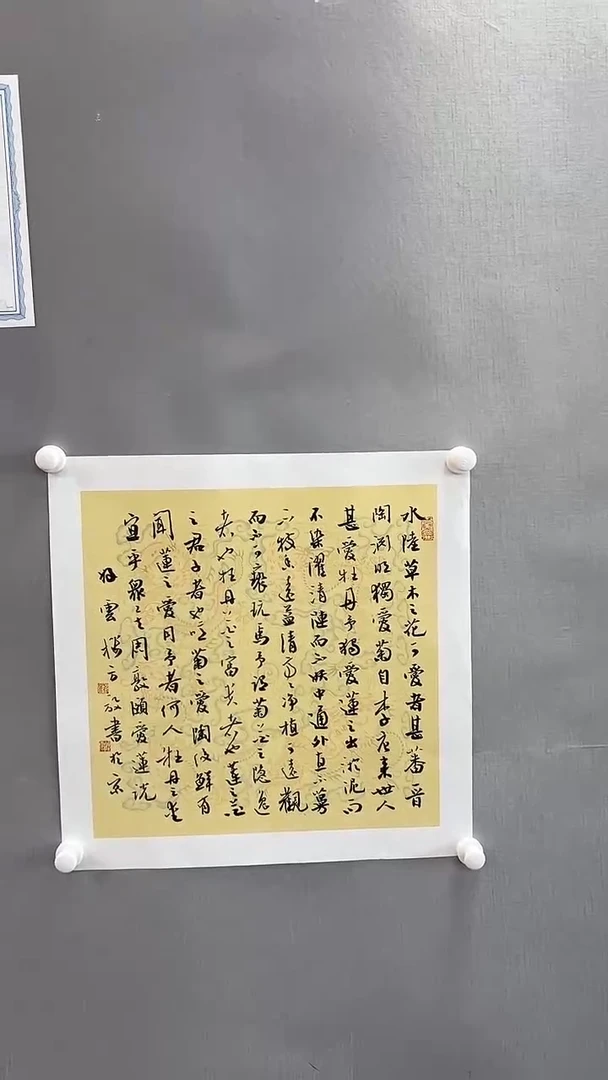 【闪购商品】书法雅艺典藏文化书法