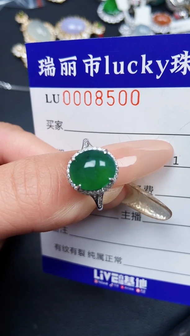 【闪购商品】翡翠颈饰银S925镶嵌8500