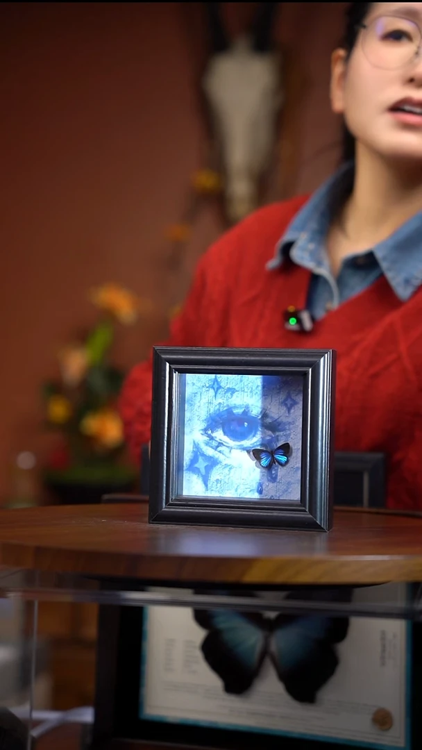 雅灰蝶  4寸欧式框   常规