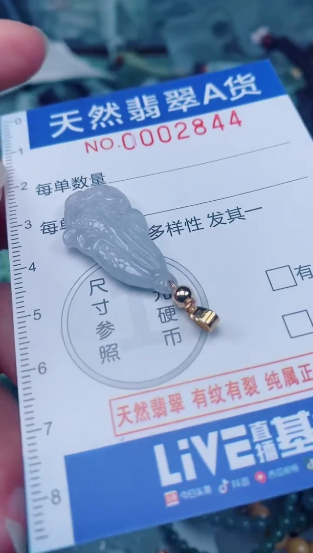 颈饰未镶嵌翡翠00002844