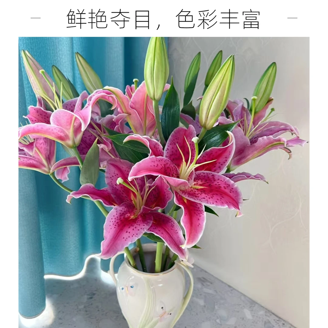 草莓沐恩【单瓣香水百合】顺丰包邮