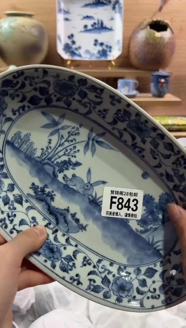 瓷片         F843