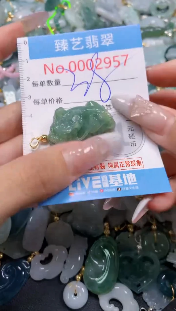 颈饰未镶嵌翡翠2957