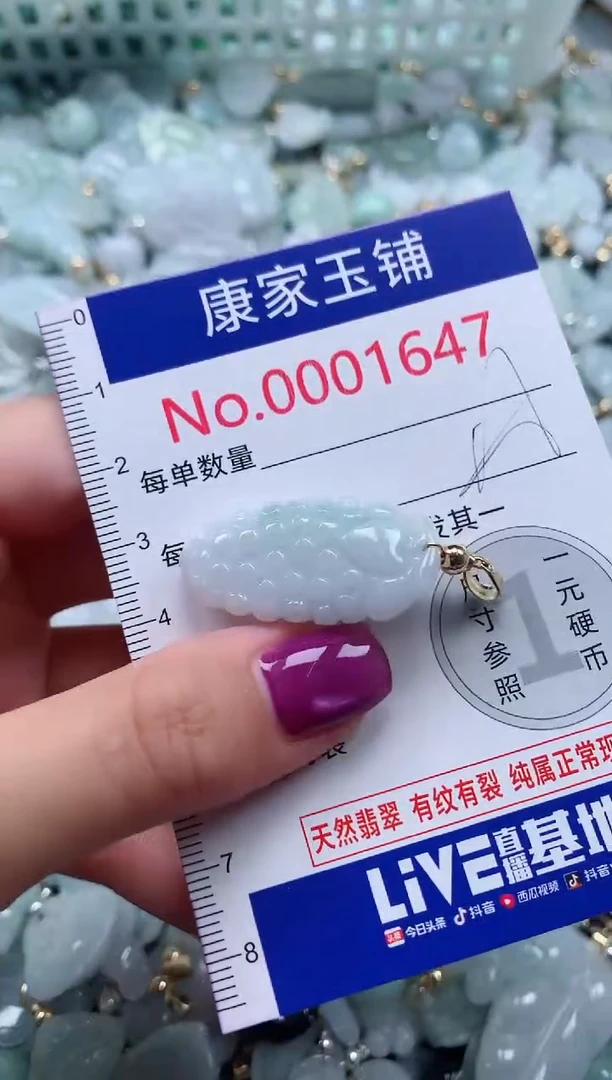 颈饰未镶嵌翡翠1647