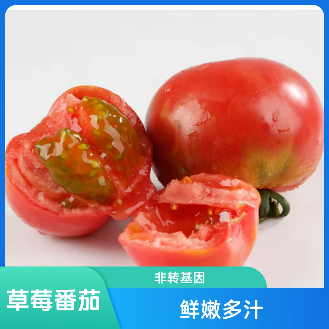 （顺丰次日达）草莓番茄1.8斤装，现摘现发，施农家肥（鱼蛋白)，拒绝化学肥料，拒绝打药水，果香浓郁，适合生吃