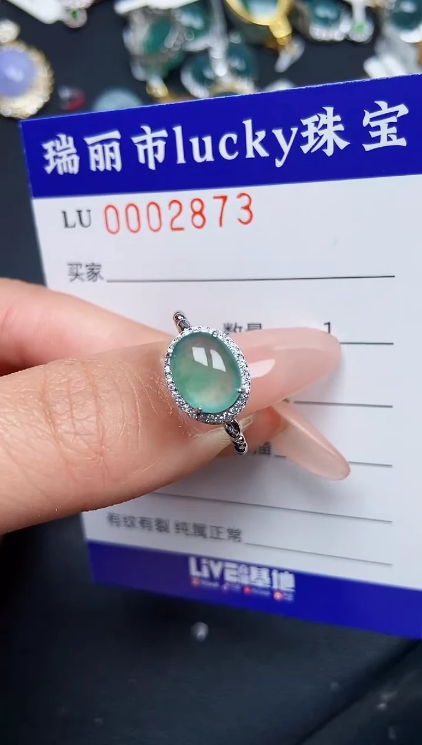 【闪购商品】翡翠颈饰银S925镶嵌2873