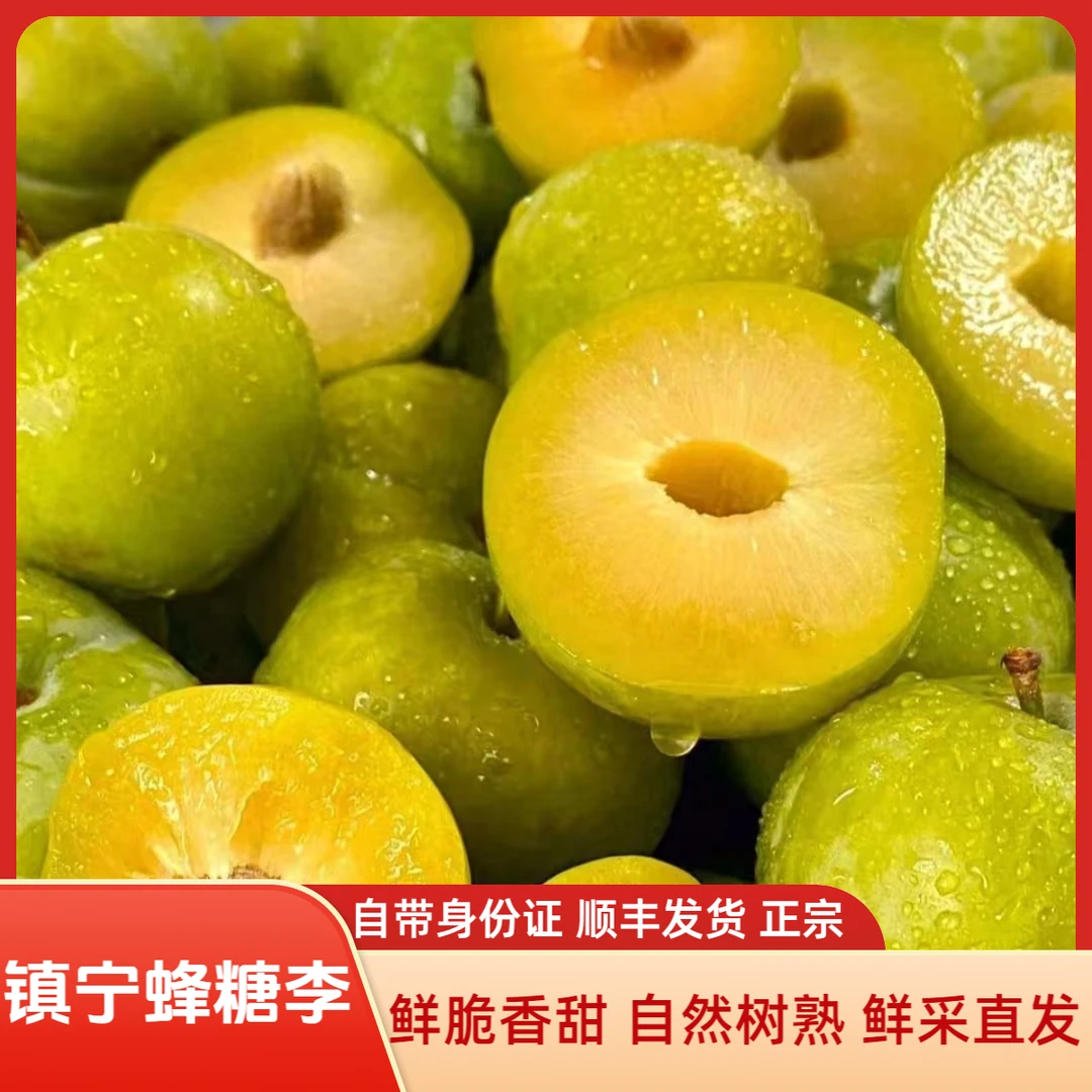 贵州镇宁蜂糖李 正宗蜂糖李 地标核心产区 带溯源码 鲜采顺丰直发
