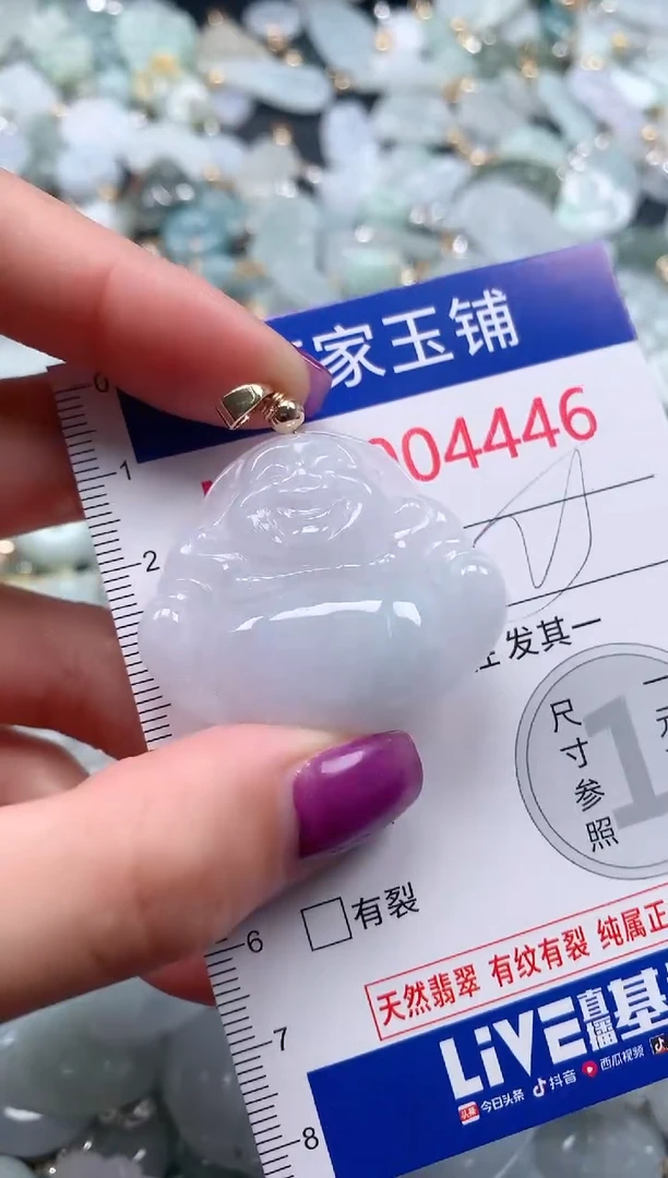 颈饰未镶嵌翡翠4446