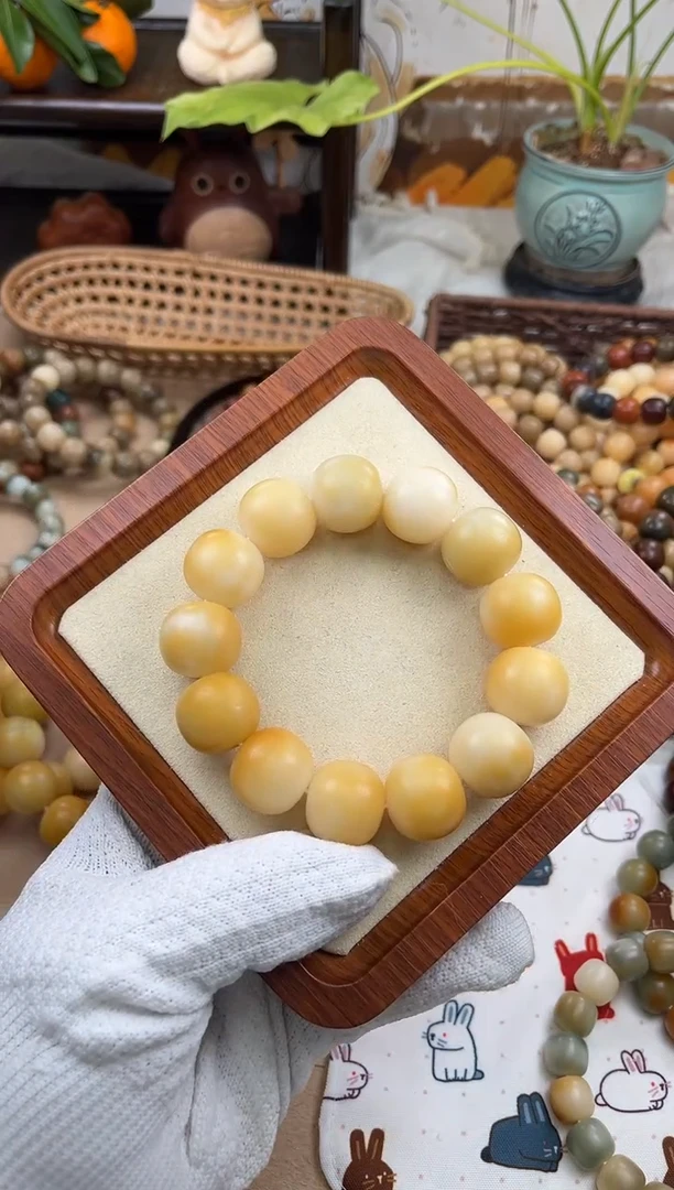 手串菩提根/象牙果a322卡20 干磨胖橘微瑕