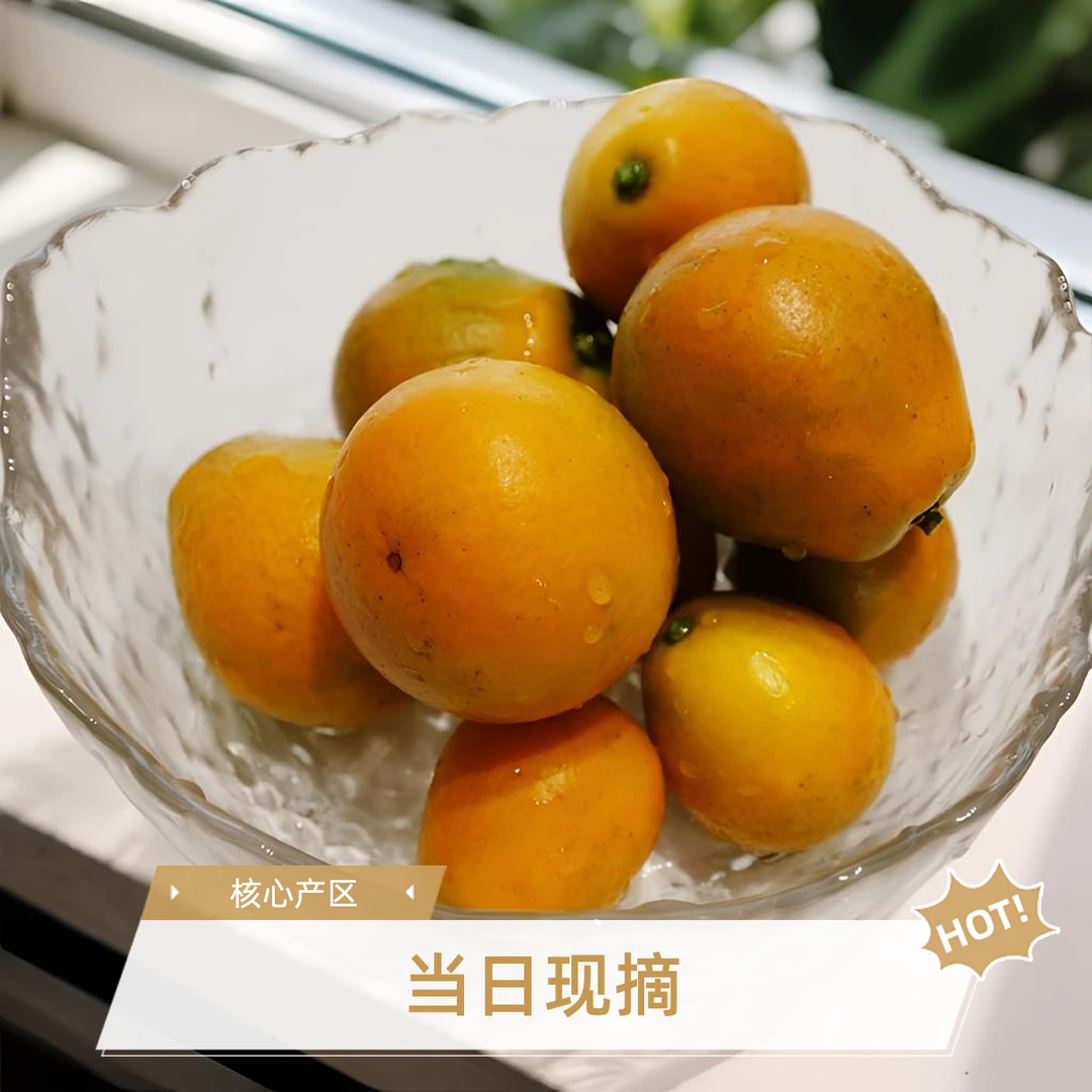 融安脆蜜金桔-核心产区皮薄脆爽，入口爆汁，沁甜-3号特果