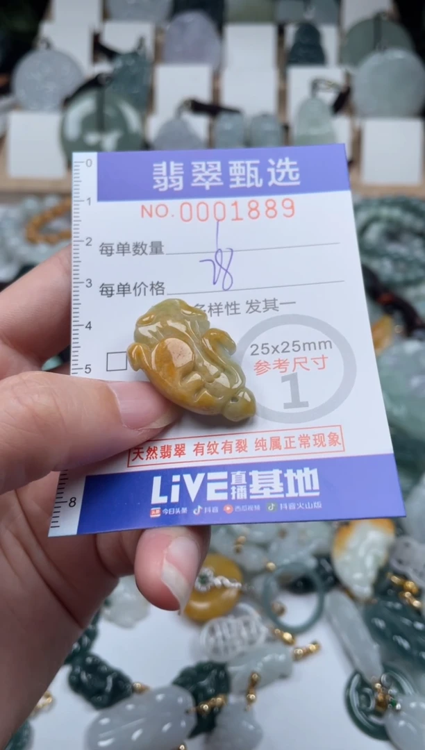 翡翠未镶嵌颈饰00..1889