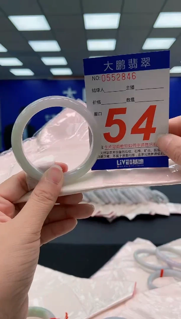 未镶嵌手镯翡翠 AAAAAAAAA