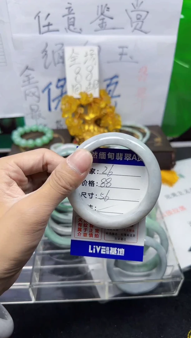 未镶嵌手镯翡翠26