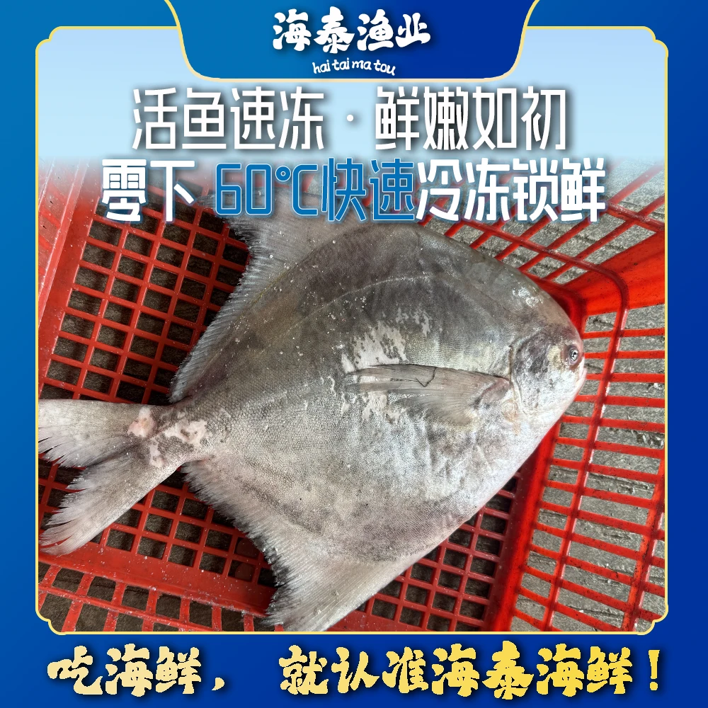 【中斗鲳】源自深海捕捞鲜活速冻冷链锁鲜冷链到家
