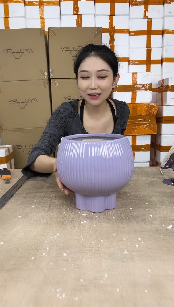 宝莲灯淡紫色18x20