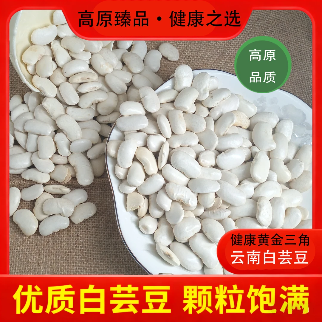 大白芸豆新货云南大白豆农家自产白云豆豆类个大饱满五谷杂粮粗粮