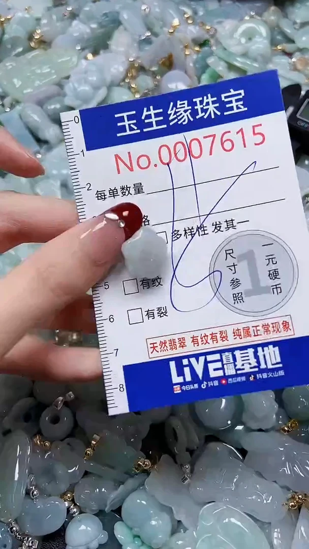 【闪购商品】翡翠颈饰未镶嵌闪购00007615