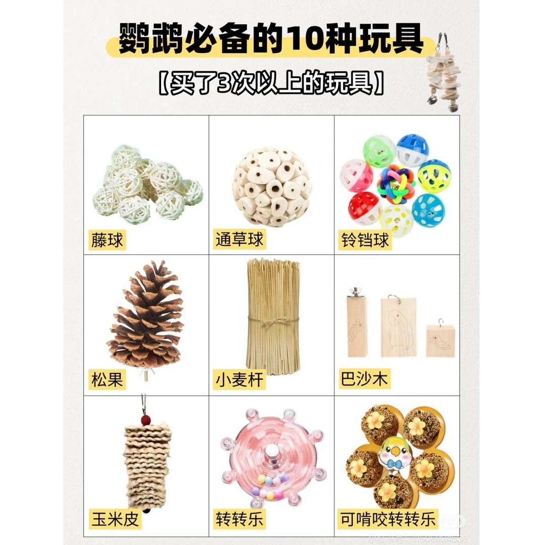 鹦鹉玩具合集，磨牙嘴棒、天然椰壳鸟窝、墨鱼骨串