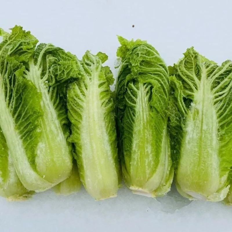 东北冻白菜整颗发货天然冷冻东北特色蘸酱菜