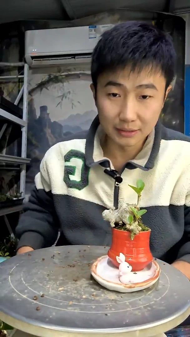 晚*中青园艺一物一拍花19