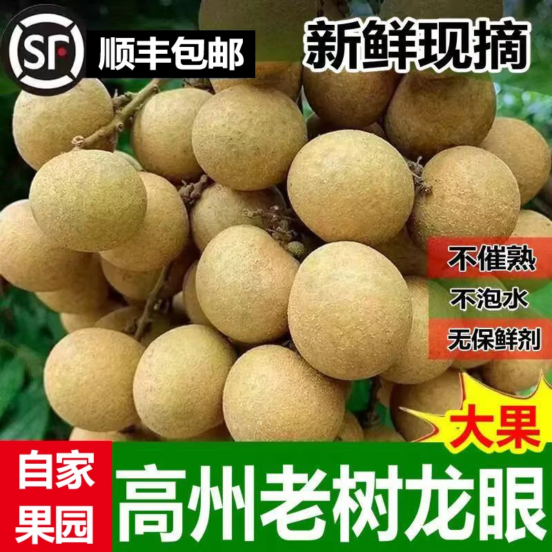 【顺丰包邮】广东高州储良龙眼特大现摘核小肉厚新鲜应季龙眼水果