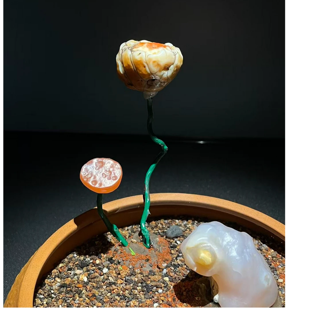 阿拉善天然戈壁奇石 老皮石 观赏石 盆景石 桌面家居摆件