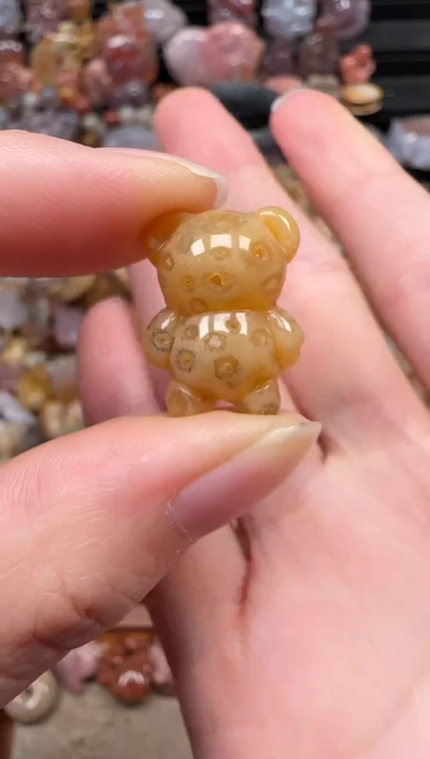 颈饰未镶嵌硅化珊瑚（珊瑚玉）178