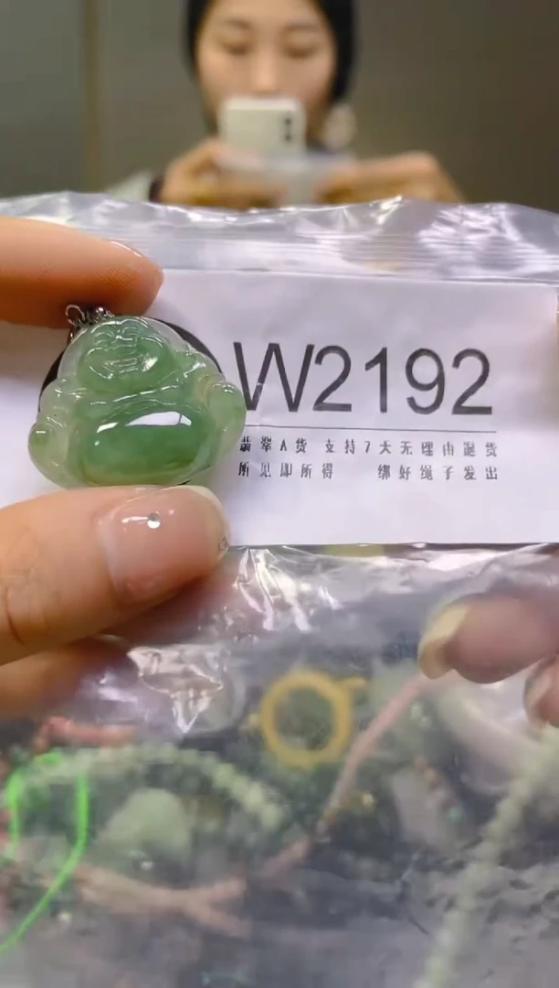 翡翠未镶嵌颈饰/W/翡翠A货一图一物