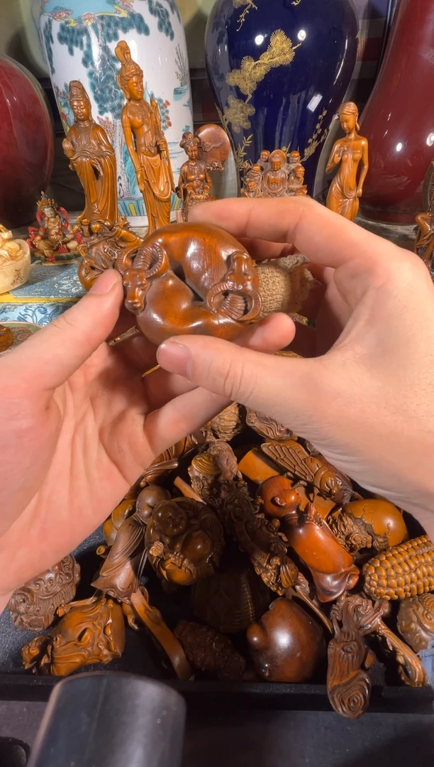 黄杨木11111111111