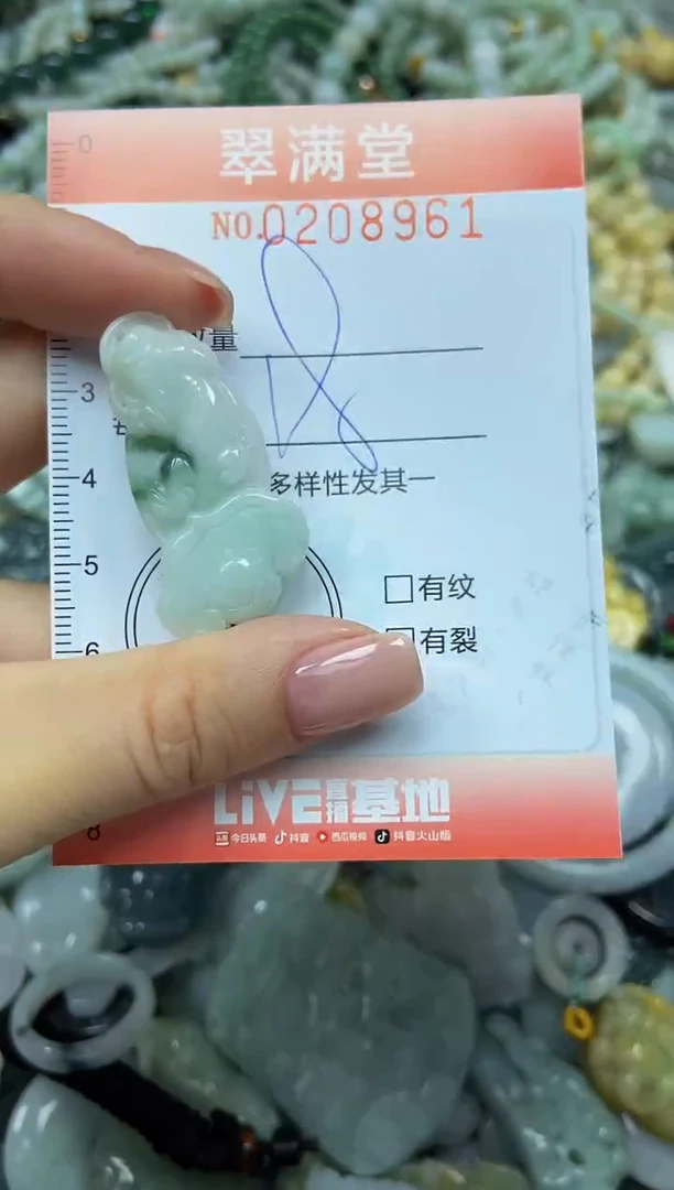 颈饰未镶嵌翡翠闪购0208961