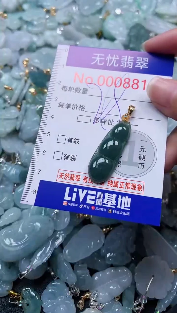 颈饰未镶嵌翡翠8817