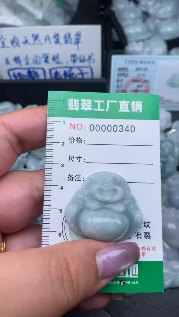 翡翠未镶嵌颈饰缅甸天然A货翡翠0340