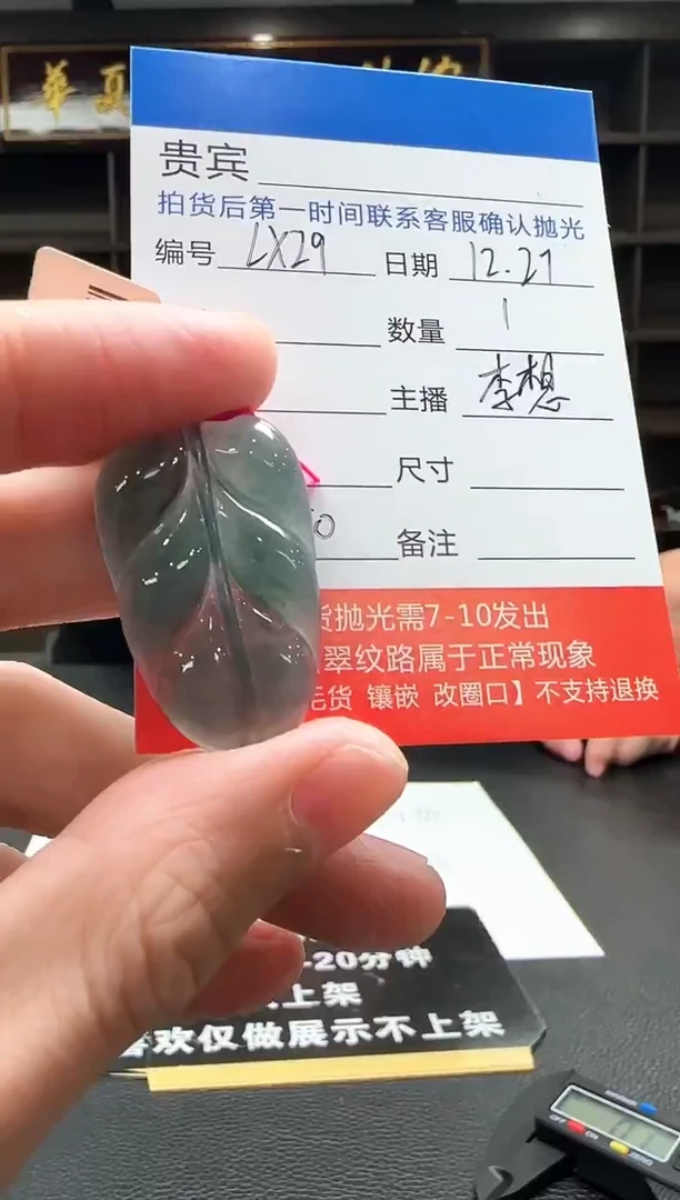 颈饰未镶嵌翡翠LX29翡翠吊坠-多样性发其一